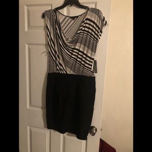 Scope neck dress